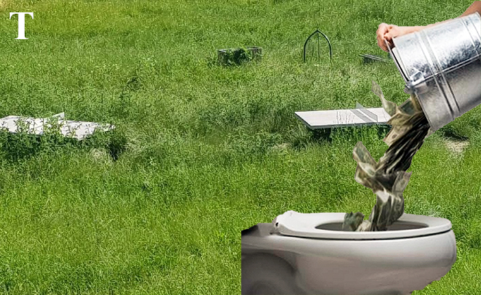 ANCHETĂ. Cum își bat joc unii angajați ai Primăriei de zonele de picnic. Bani la WC