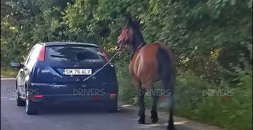 FOTO. Sătmarul minunilor. Cal tras după mașină în județul Satu Mare
