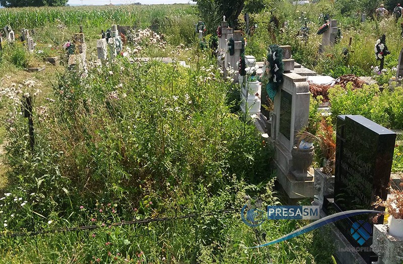 FOTOGALERIE. Cimitirul Primăriei, devalizat de șefi. Morții, ”îngropați” în buruieni