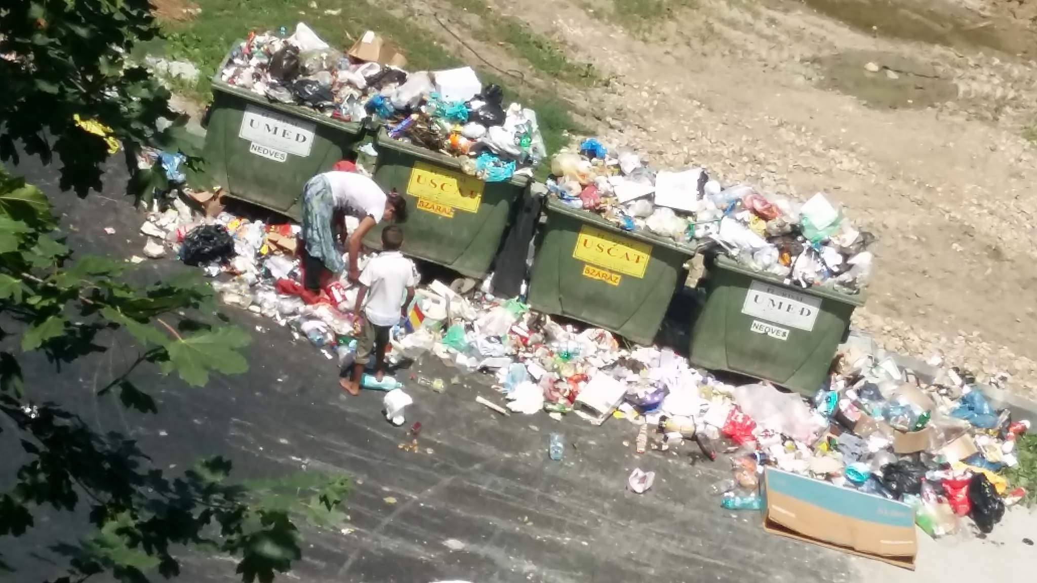FOTO. Imagini horror din cartierele Sătmarului. Cine trebuie amendat aici, domnule primar?!