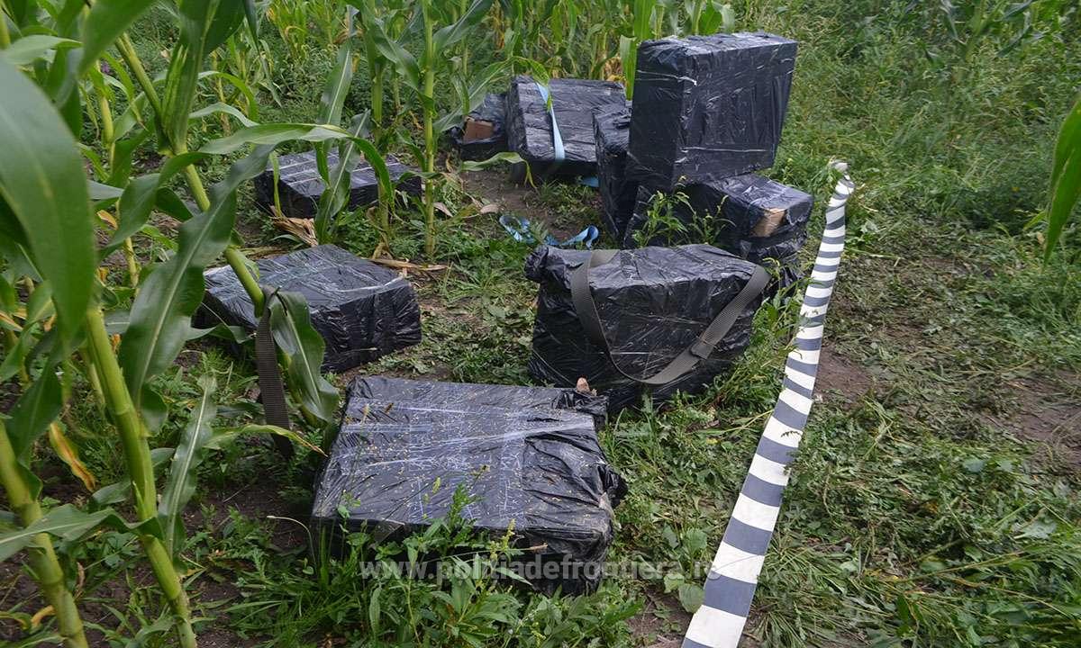 FOTO. Țigări de contrabandă, de zeci de mii de euro, abandonate în județ