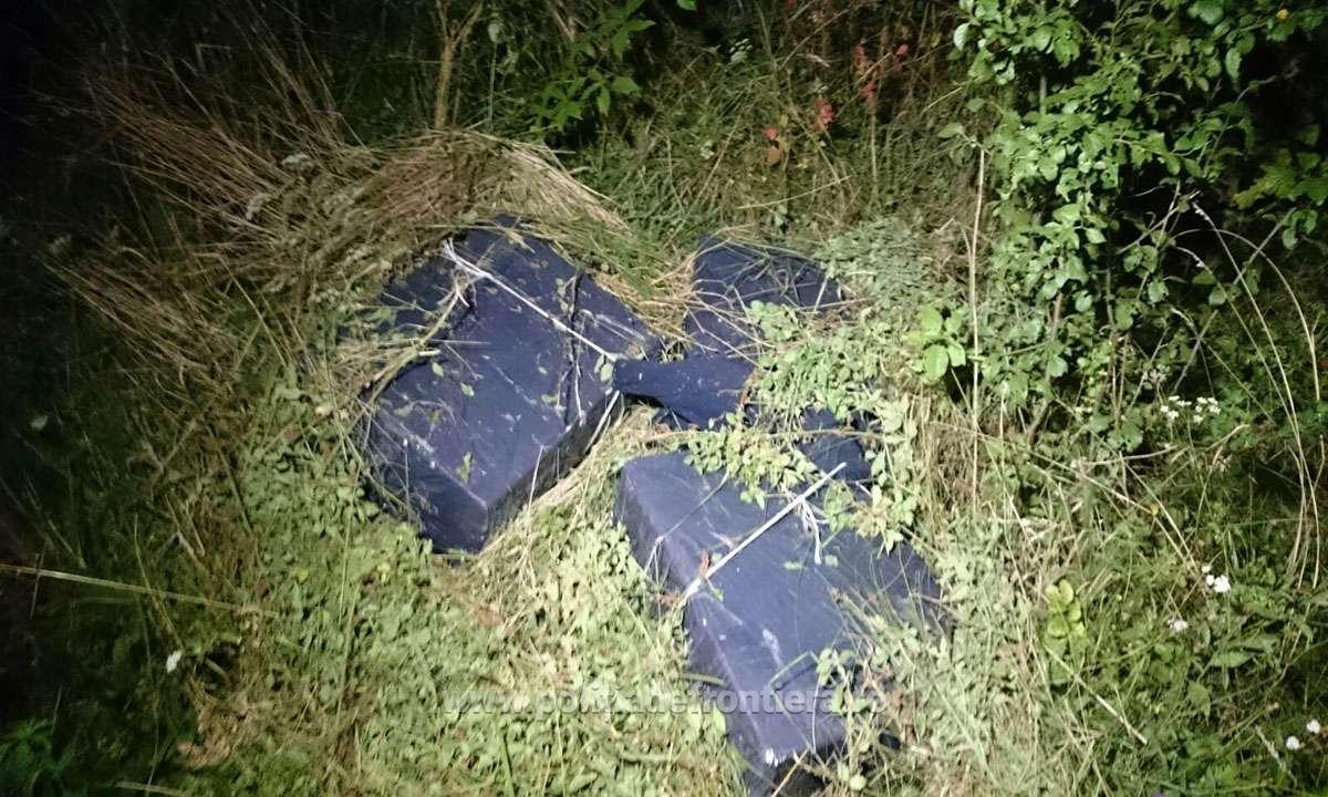 FOTO. Cum se joacă contrabandiștii și polițiștii pe frontieră, în județul Satu Mare