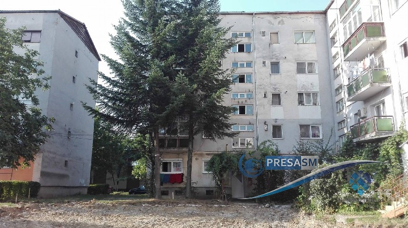 FOTOGALERIE. În Micro 17 se taie copacii pentru a se construi parcări. Locatarii se opun