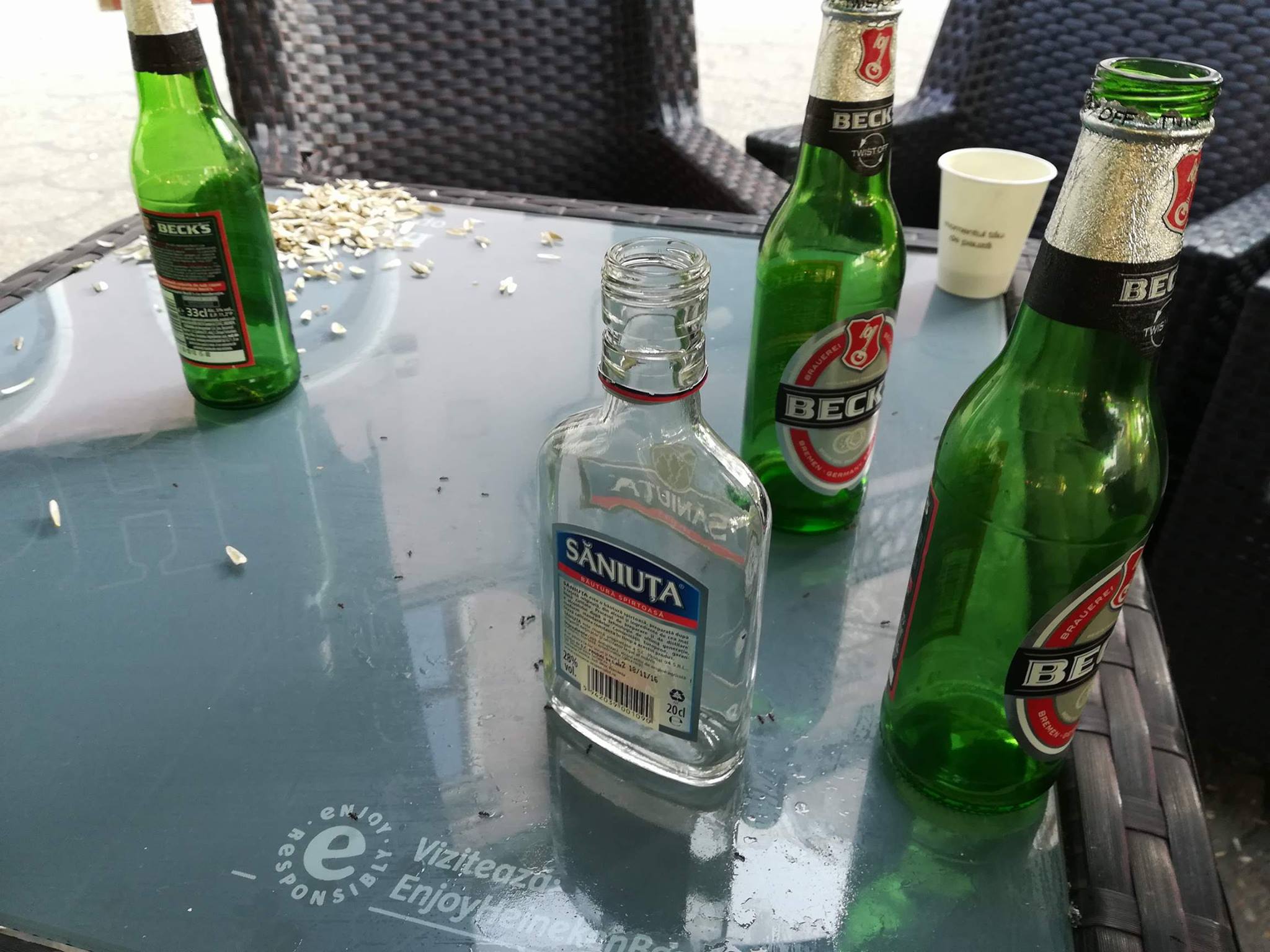 FOTO. Debandadă în centrul Sătmarului. Proxeneții, târfele și alți infractori își fac de cap