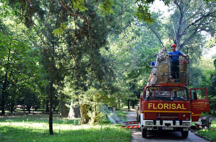 VIDEO. Se lucrează în Grădina Romei. Se redeschide în această săptămână