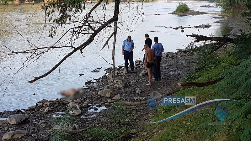 Sătmărean (44 de ani) a dispărut în apele Someșului. Nu a mai putut fi salvat