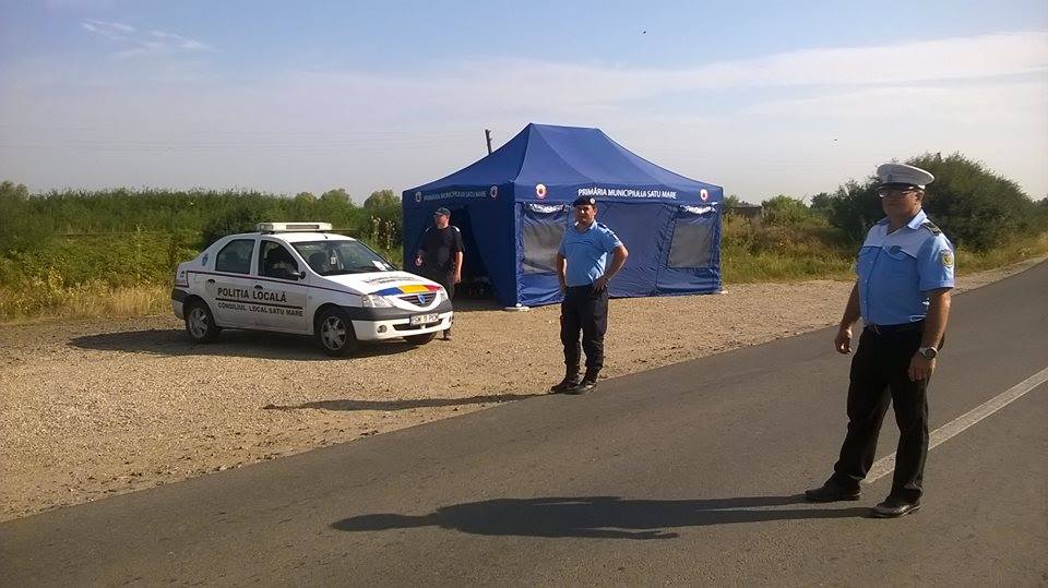 Un specialist explică cum a ajuns pesta porcină în Satu Mare. Combate autoritățile