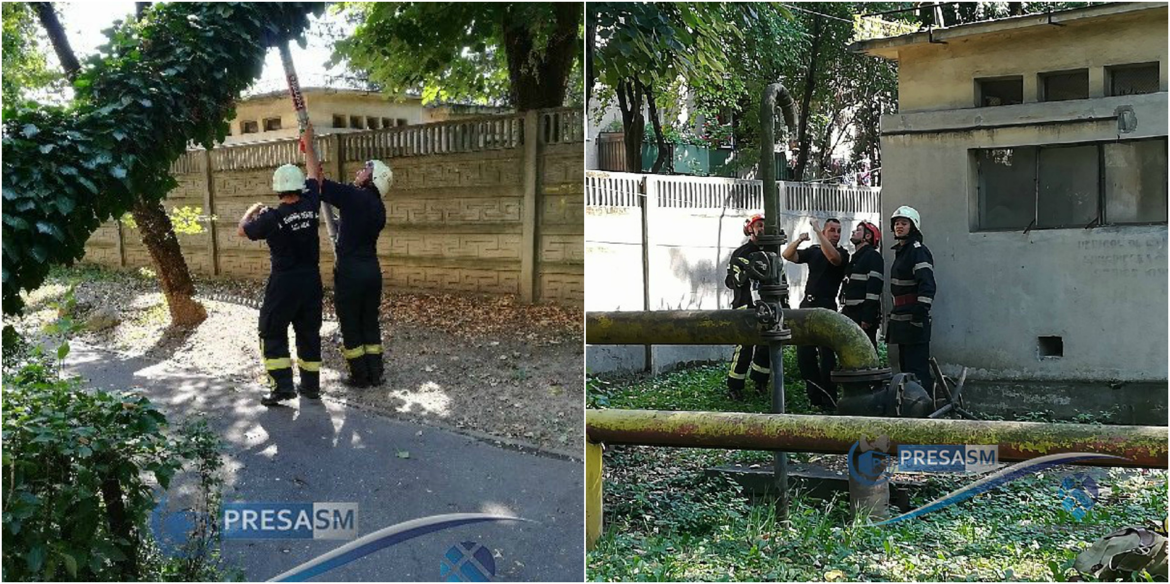 FOTO&VIDEO. Un copac masiv a cedat. Riscă să cadă peste o instalație de gaze!