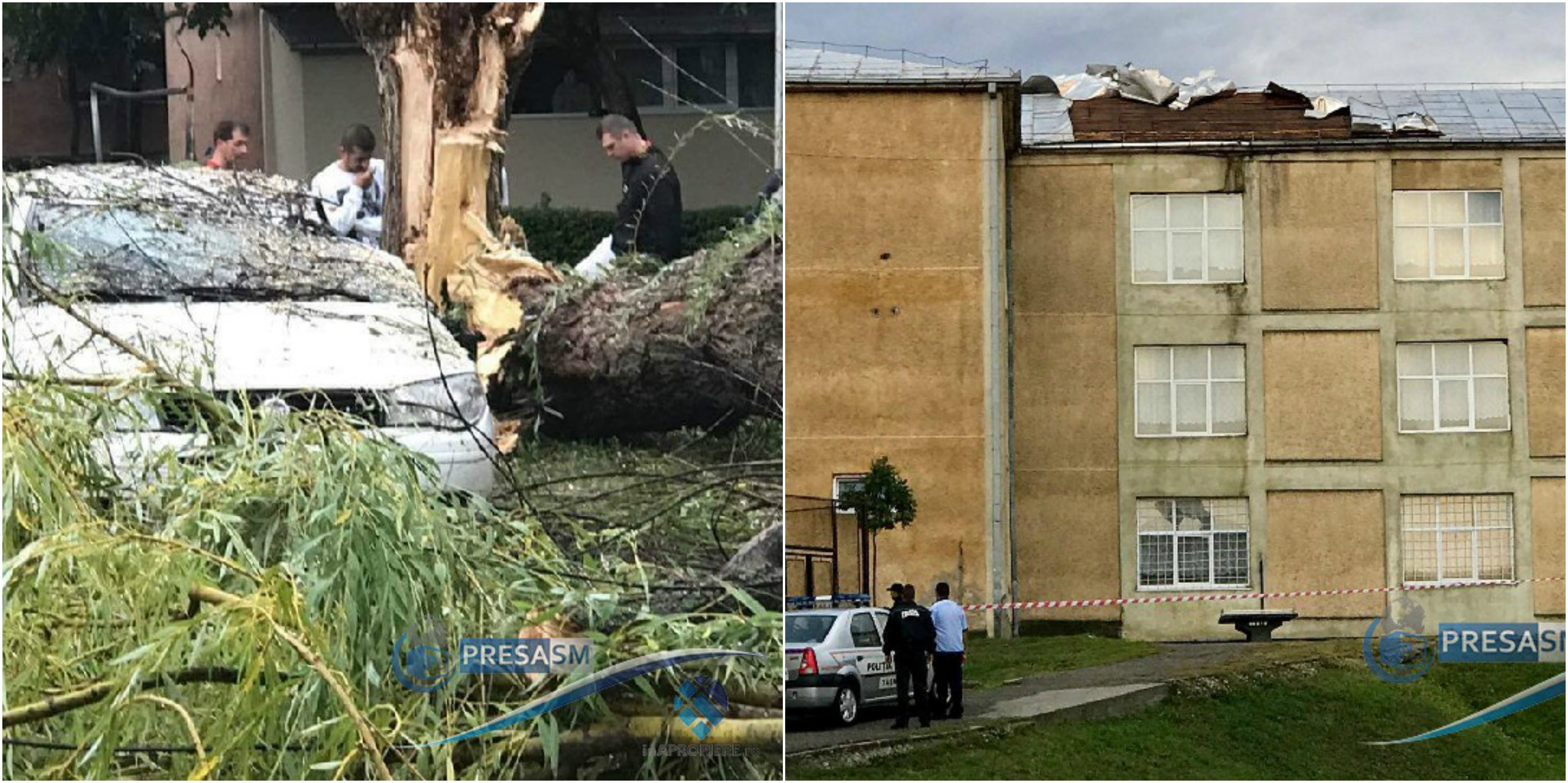 FOTO&VIDEO. Copaci peste mașini și acoperișuri smulse după furtună, în Satu Mare