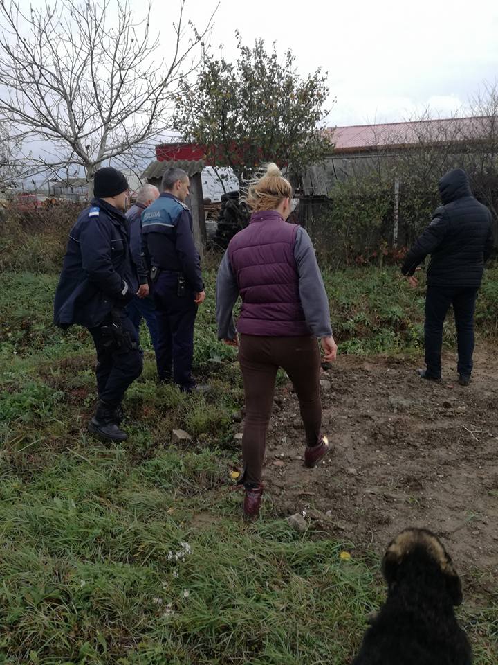 Imagini șocante. Un câine de luptă a omorât un alt câine. Cine urmează?!