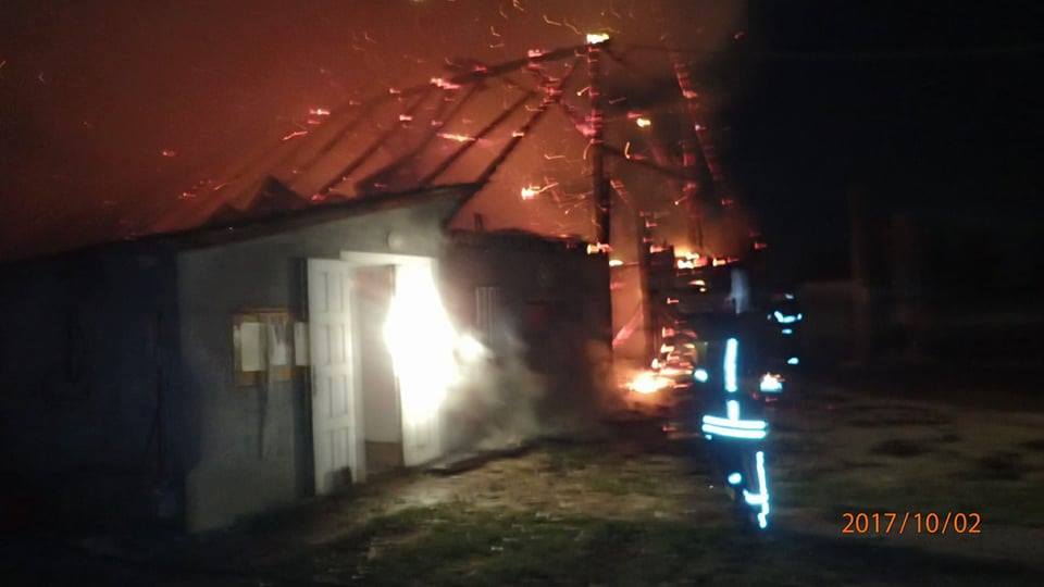 FOTOGALERIE. Persoane necunoscute au incendiat o fermă. 37 de animale arse de vii în județ