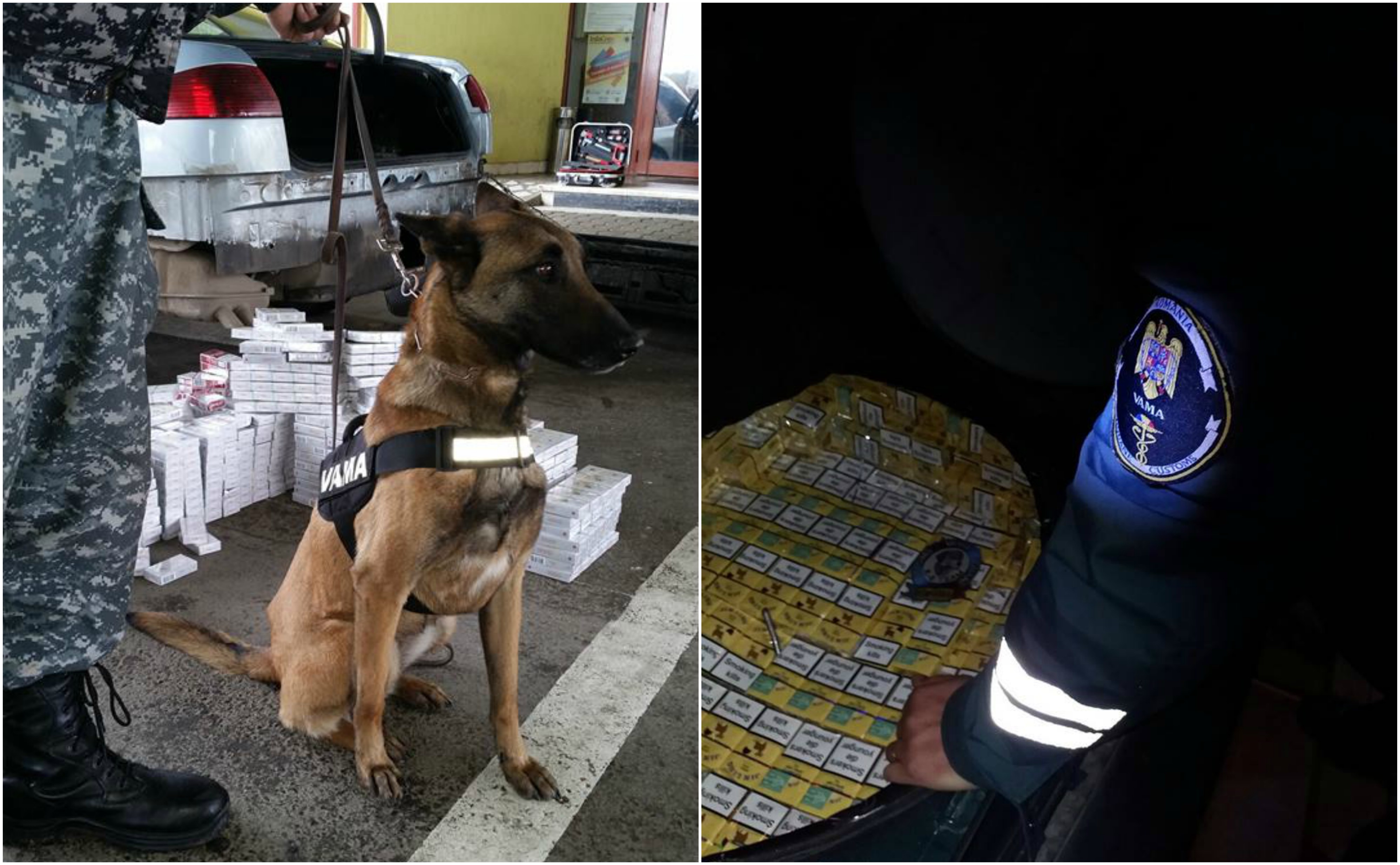 FOTO. Câinele care a băgat spaima în contrabandiști. A mai depistat un ”transport” la Halmeu