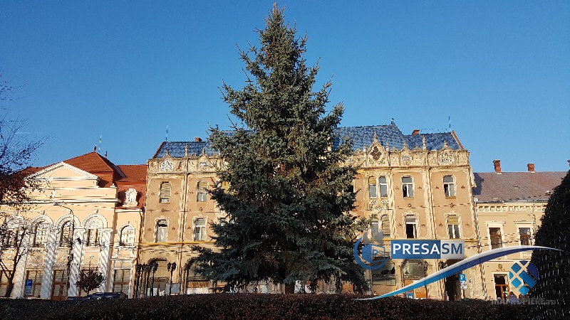 FOTO/VIDEO. S-a montat bradul de Crăciun în centrul municipiului Satu Mare