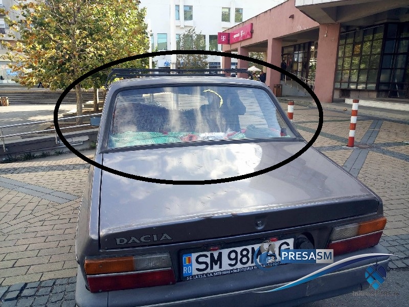 FOTO. Plimbă morți și capre cu mașina. Se pare că nu are permis de conducere!