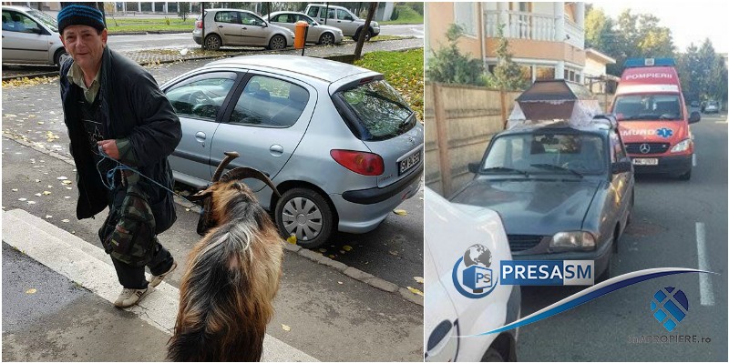 FOTO. Sătmăreanul care umbla cu un sicriu pe mașină, acum plimbă o capră pe străzi