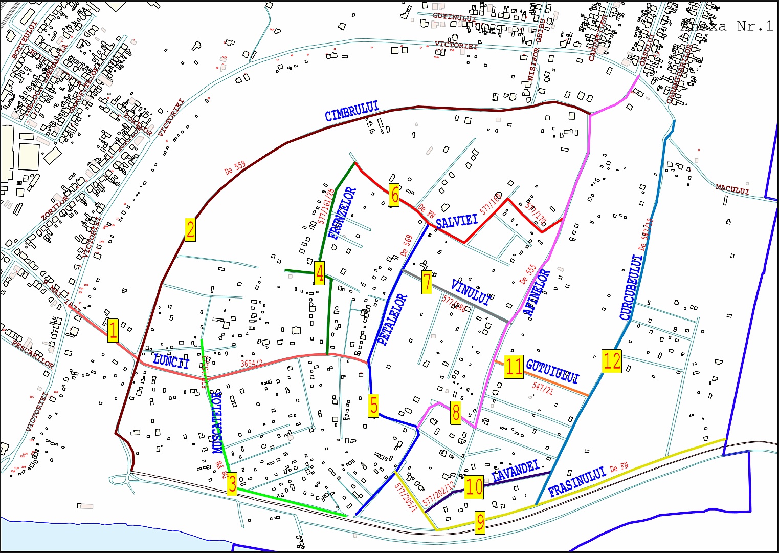 Primăria Satu Mare vrea să oprească haosul în două zone de ”fițe”, în care se construiesc vile