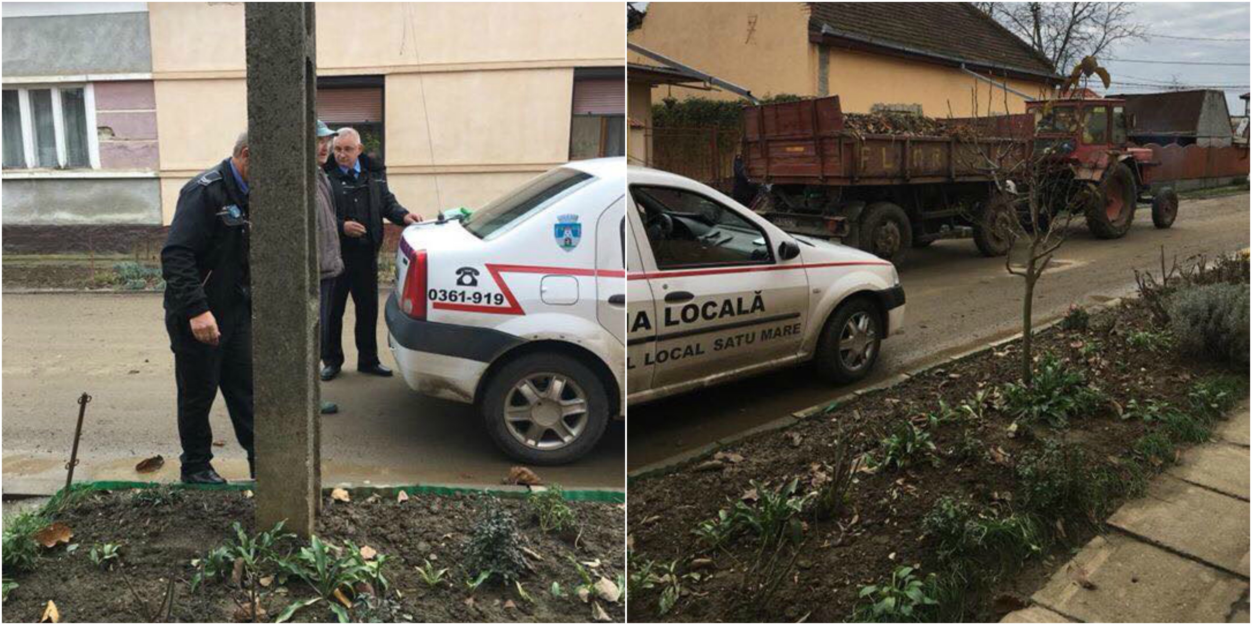 FOTO. Sătmărean amendat pentru că...cad frunzele. Poliția Locală recidivează