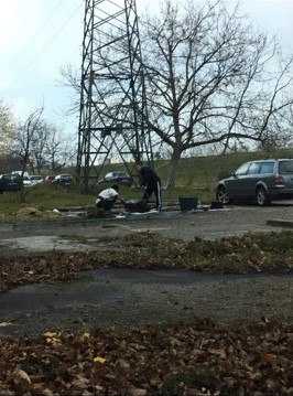 FOTO. Porc tăiat în Micro 17. "Tradiția" nu moare în municipiul Satu Mare