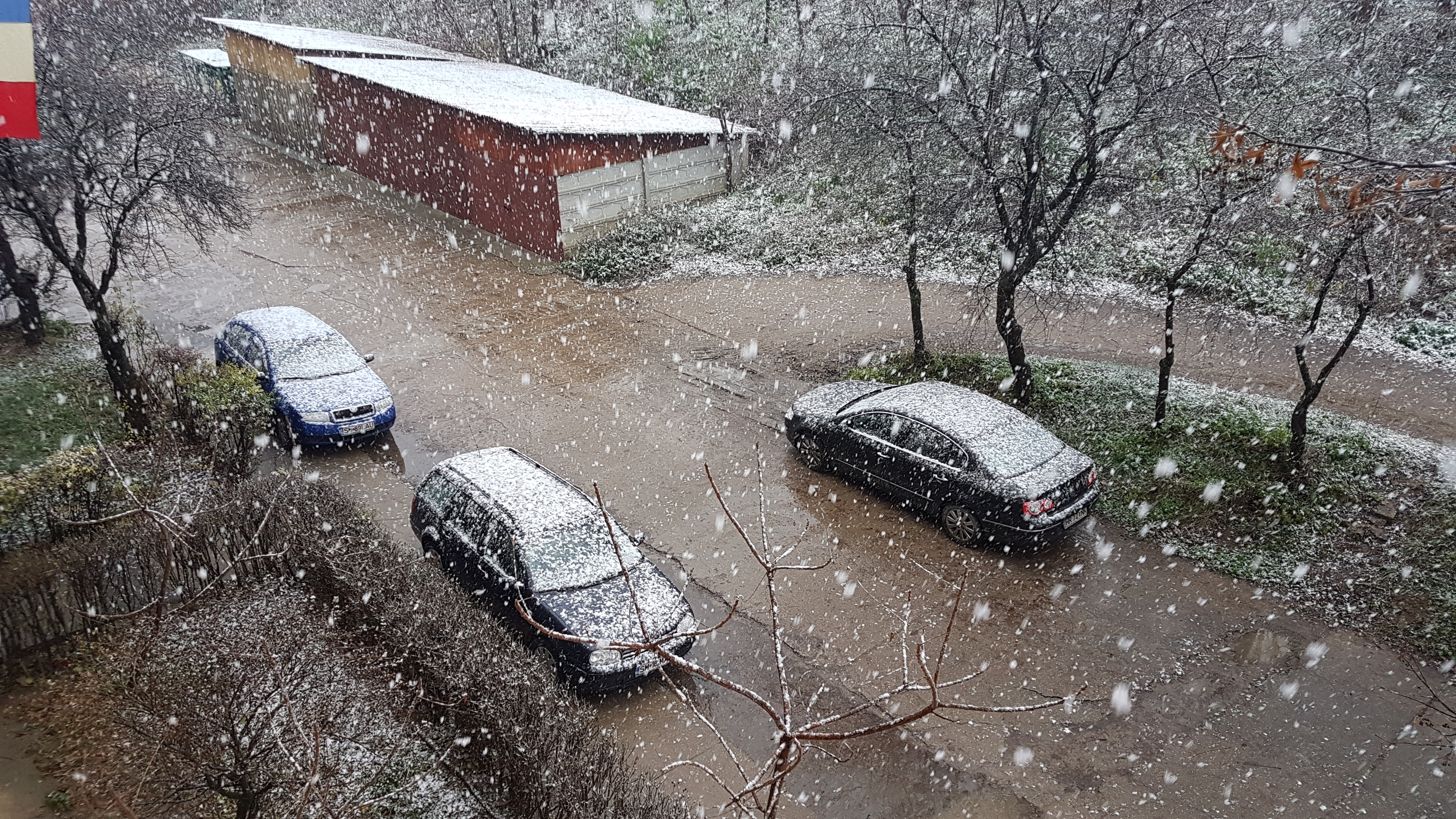 FOTO/VIDEO. Prima ninsoare masivă din această iarnă în municipiul Satu Mare