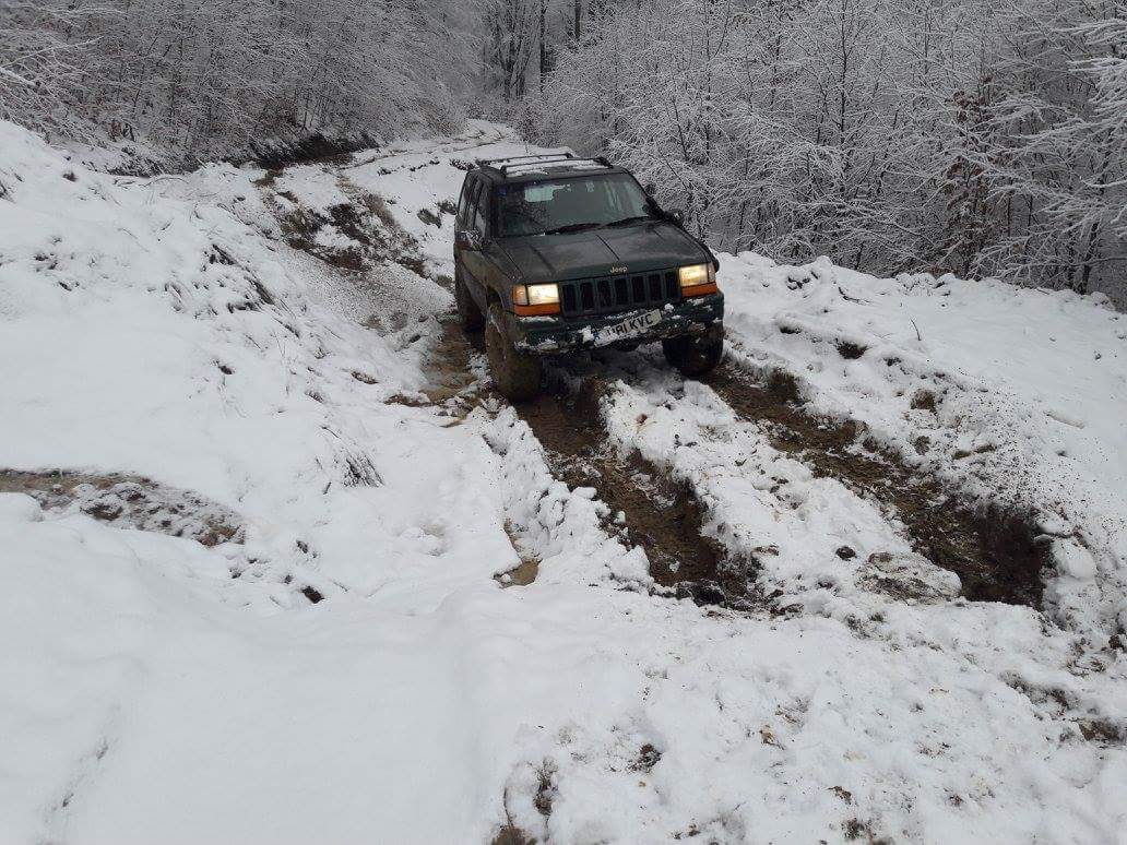 FOTO. Alunecări de teren la viitoarea pârtie de schi a județului Satu Mare
