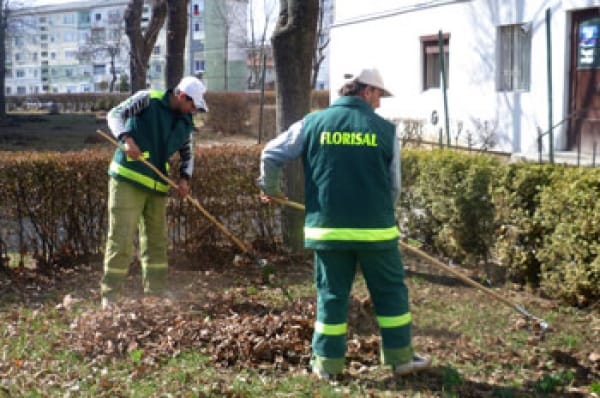 Nagykárolyban csak áprilisban viszik el a zöldhulladékot