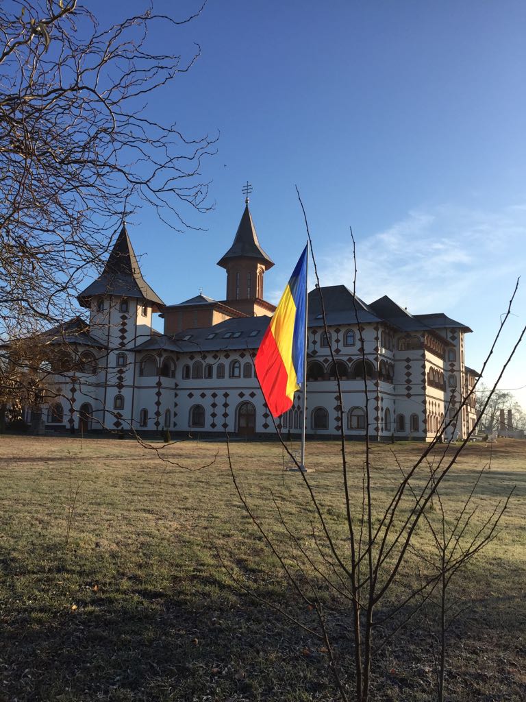 FOTO. Cel mai vestic tricolor uriaș, ridicat în județul Satu Mare! La mulți ani, România!