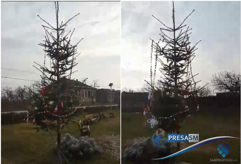FOTO/VIDEO. Cel mai necăjit brad de Crăciun, într-o comună din Satu Mare. ”Cadoul” Primăriei