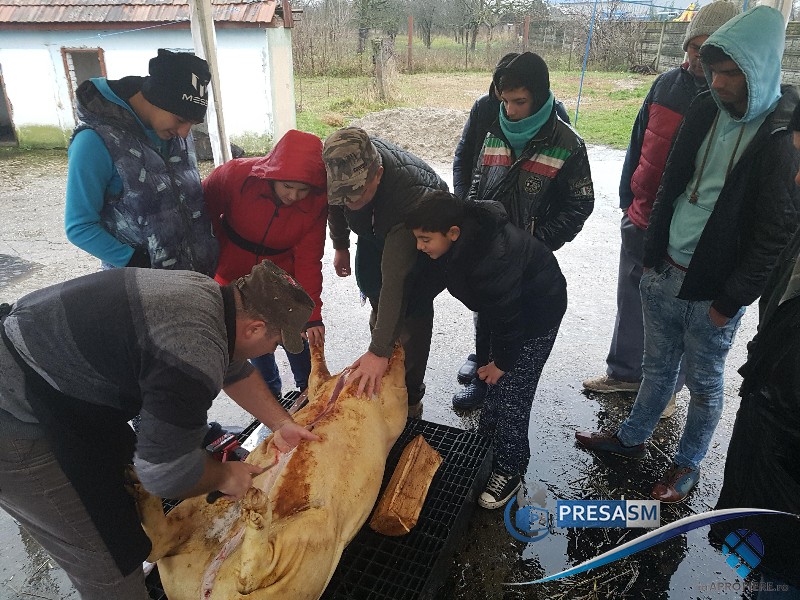 FOTO. Ce gest! Au tăiat un porc pentru orfanii de la Casa de copii de la Berindan