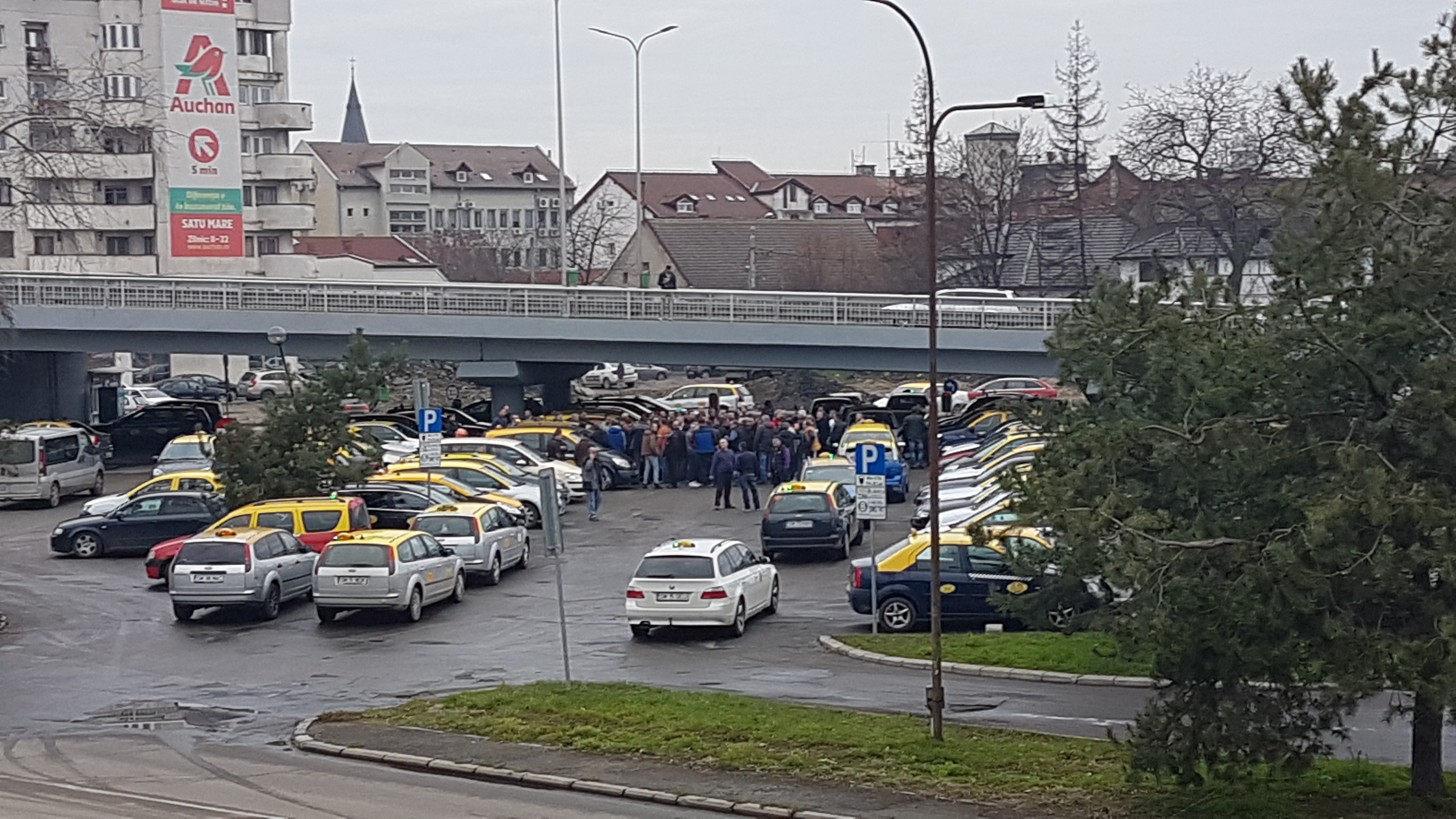 Taximetriștii sătmăreni ies la protest! Supărați pe BOLT, cer modificarea legislației