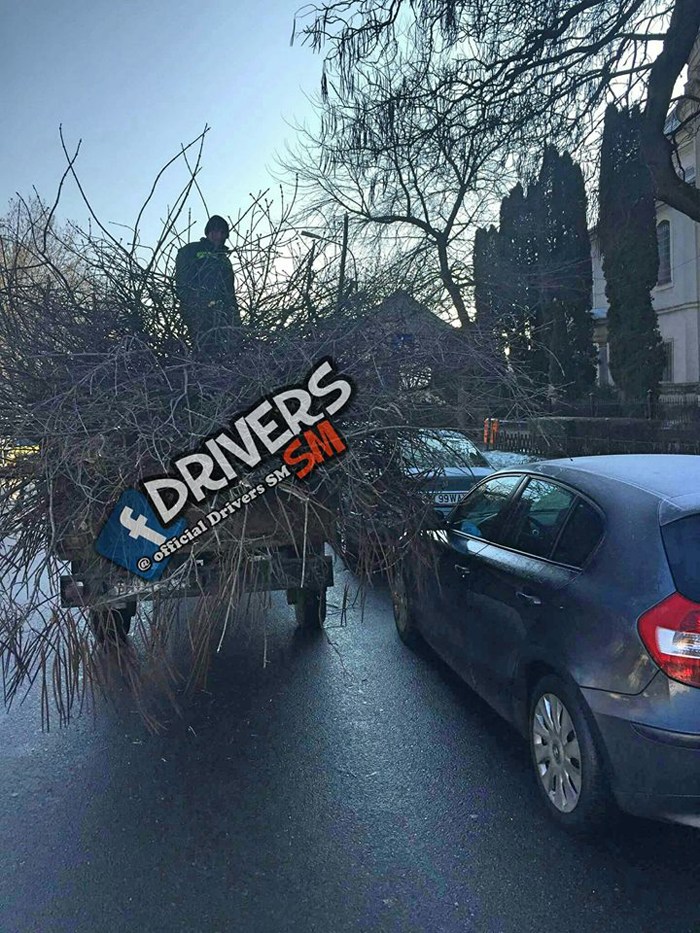 FOTOGALERIE. Angajați ai Florisal, acuzați că zgârie mașinile în Satu Mare