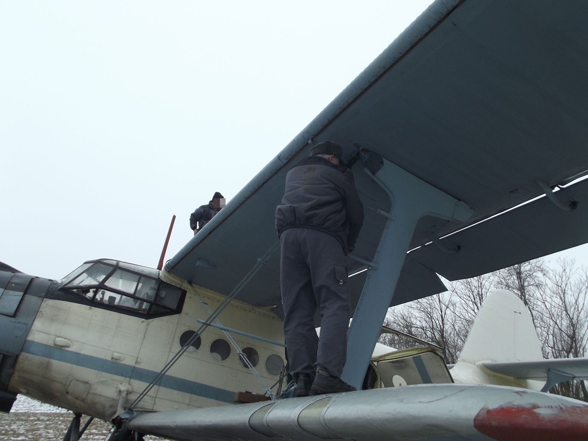 Țigări de contrabandă transportate cu avionul în județul Satu Mare!