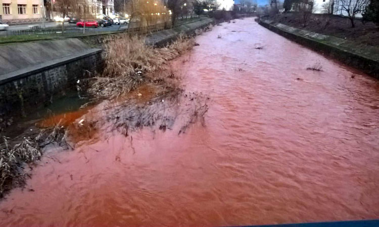 FOTOGALERIE. Pericol de poluare pe râul Someș. Râul Săsar e deja afectat