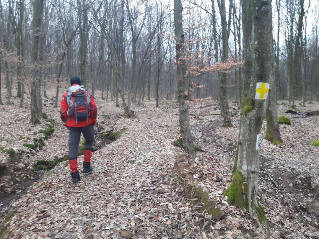 FOTOGALERIE. Primele trasee montane sigure în Satu Mare! Chiar și pentru bikeri