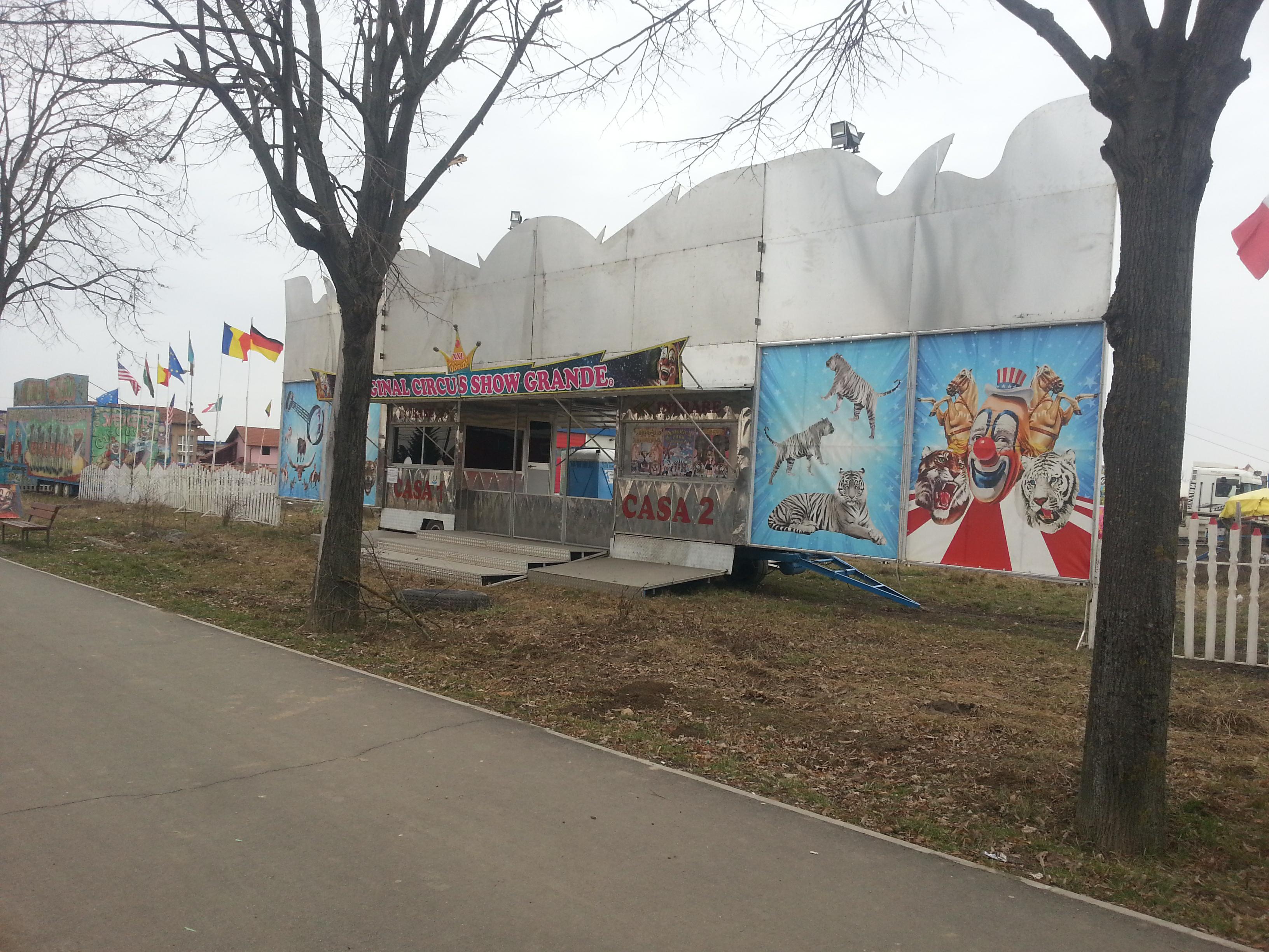 FOTO. Circul a ajuns în Satu Mare! PresaSM vă oferă bilete gratuite la spectacol