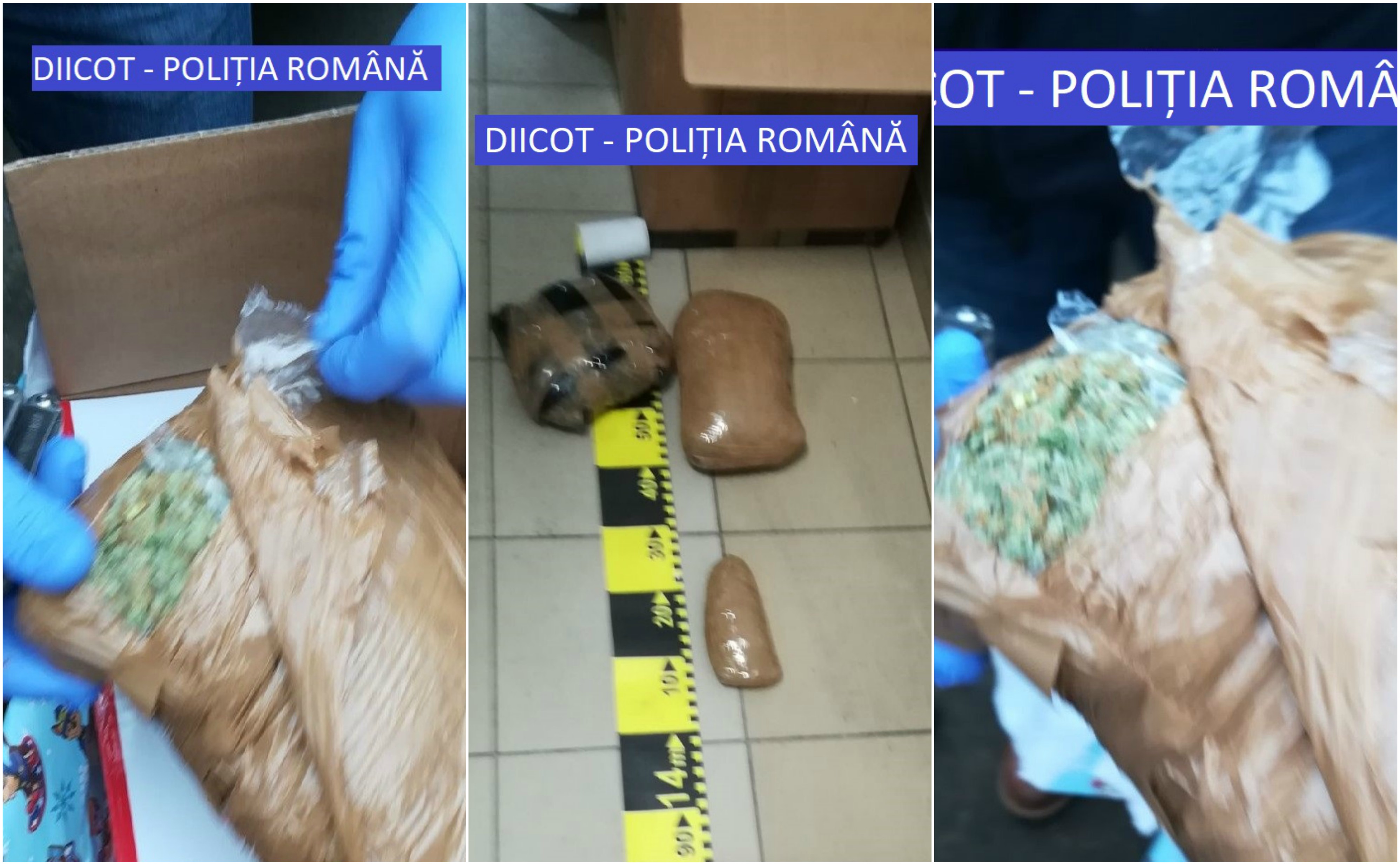 FOTOGALERIE. Percheziții la Satu Mare într-un dosar de trafic de droguri. Traficanții, prinși în flagrant