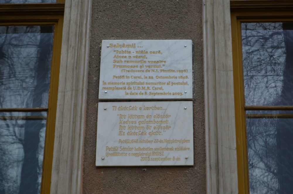 FOTO. Scandalul plăcuțelor bilingve la Carei. Primăria s-a conformat deciziei judecătorilor