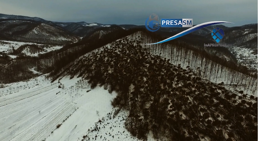 VIDEOREPORTAJ cu drona. Dezastrul de la Tarna Mare. O sută de ha de pădure distruse de vânt
