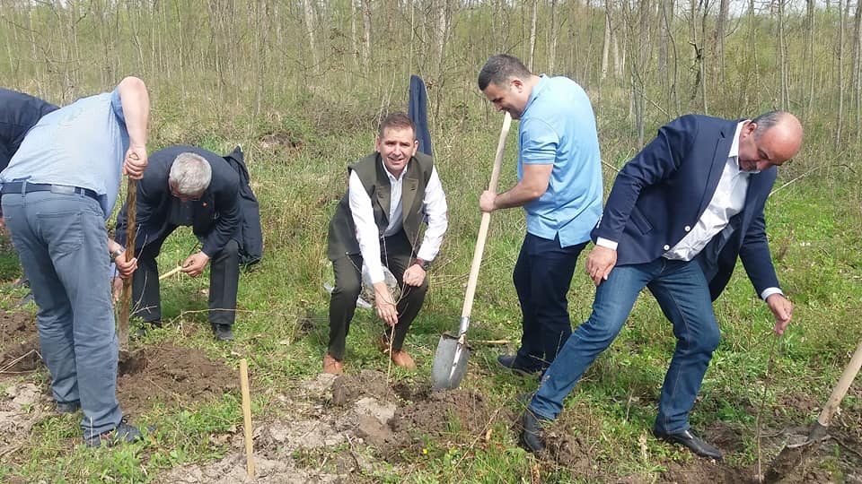 FOTOGALERIE. Sute de mii de puieți plantați în județul Satu Mare