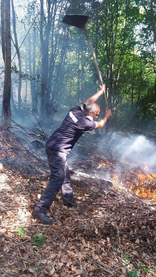 FOTOGALERIE. Incendiu de amploare în Țara Oașului