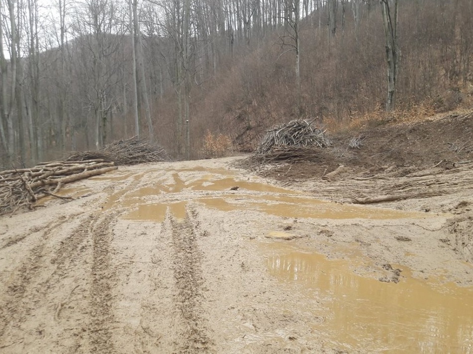 FOTO. Viitoarea pârtie de schi de la Luna Șes, în pericol. Alunecări de teren