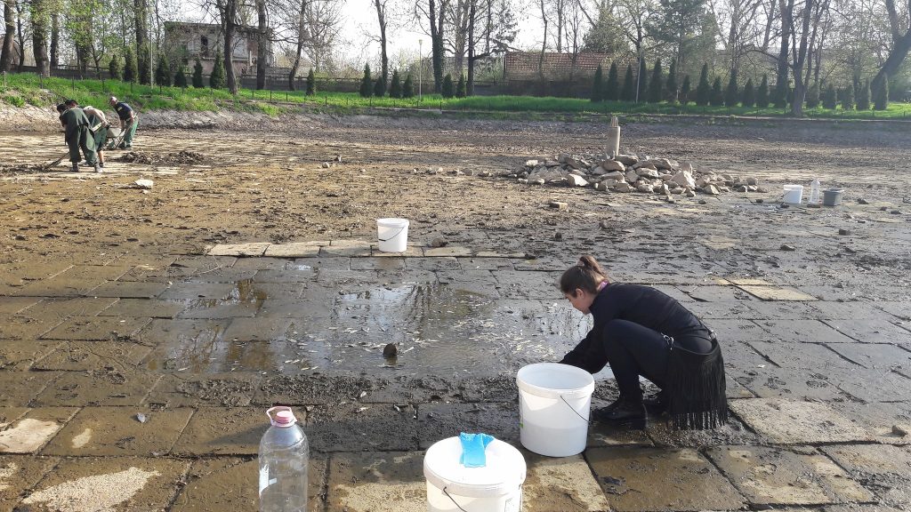 FOTO. Două jurnaliste au salvat peștii din lacul secat din Grădina Romei