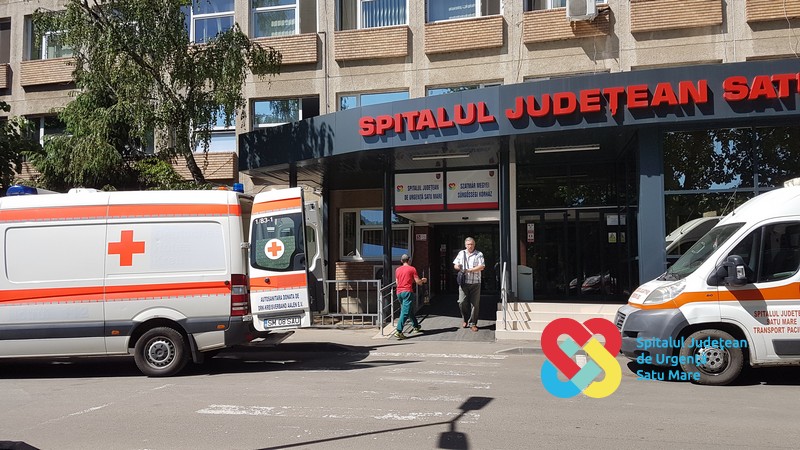 Sătmărenii, speriați de virusul West Nile. Numărul mare de țânțari, un pericol real