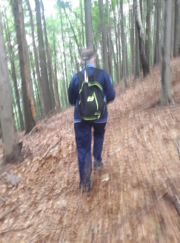 FOTO. Persoană rătăcită în pădure. Căutată de echipele specializate