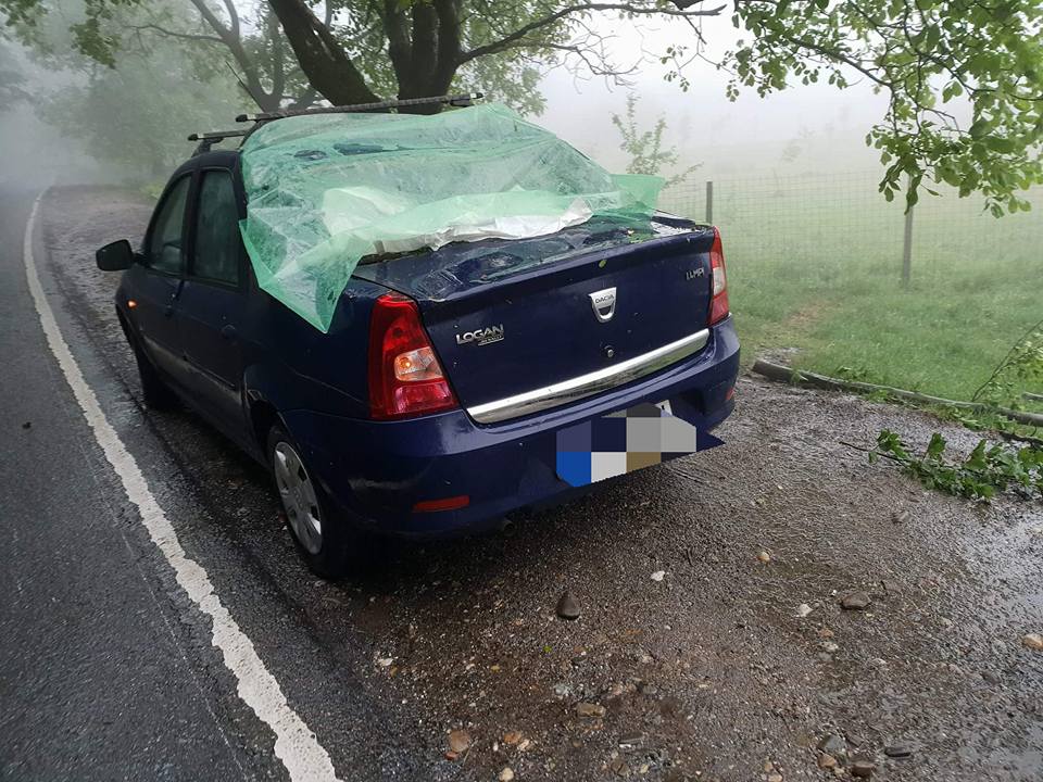 FOTOGALERIE. Copaci rupți de vijelii și mașini avariate în județul Satu Mare
