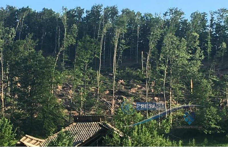 FOTO/VIDEO. Dezastrul ecologic de la Tarna Mare: Zeci de hectare de pădure rase la pământ