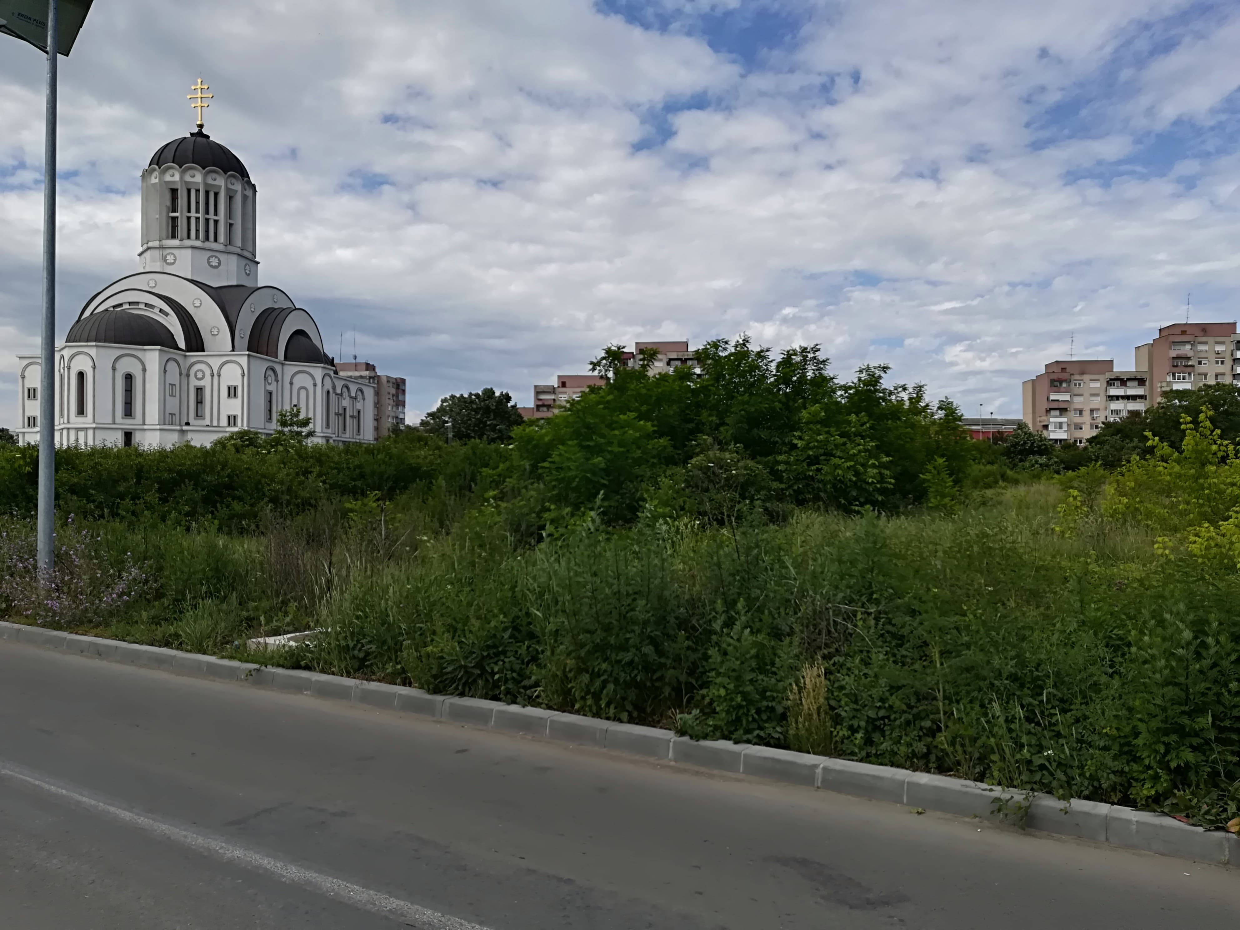 Primăria Satu Mare avertizează deținătorii de terenuri cu amenda. Ce riscă unii proprietari