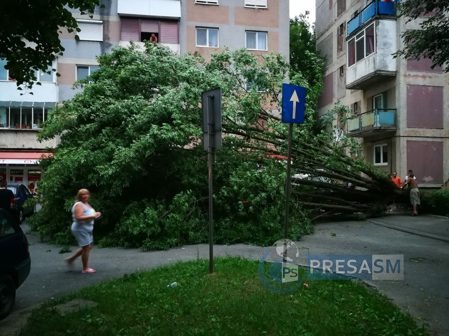FOTO. Copac căzut peste mașini în Micro 16. Primele efecte ale furtunii
