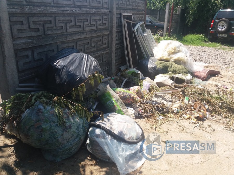 FOTOGALERIE. Florisal nu mai face față în Satu Mare! Semnal de alarmă al Primăriei