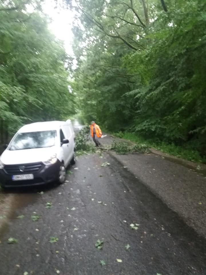 FOTO. Drum județean blocat. Vântul puternic a răsturnat copaci pe șosea