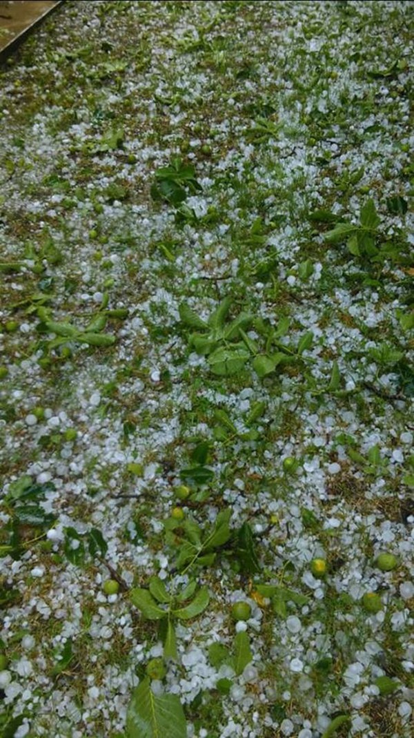 FOTO. Cod PORTOCALIU. Gheața a făcut prăpăd în Țara Oașului